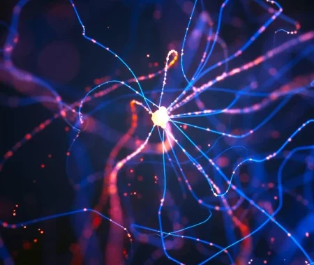 Réseau de neurones